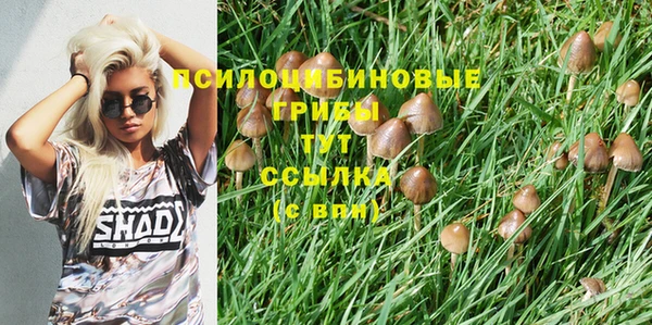 марки nbome Елизово