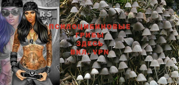 марки nbome Елизово